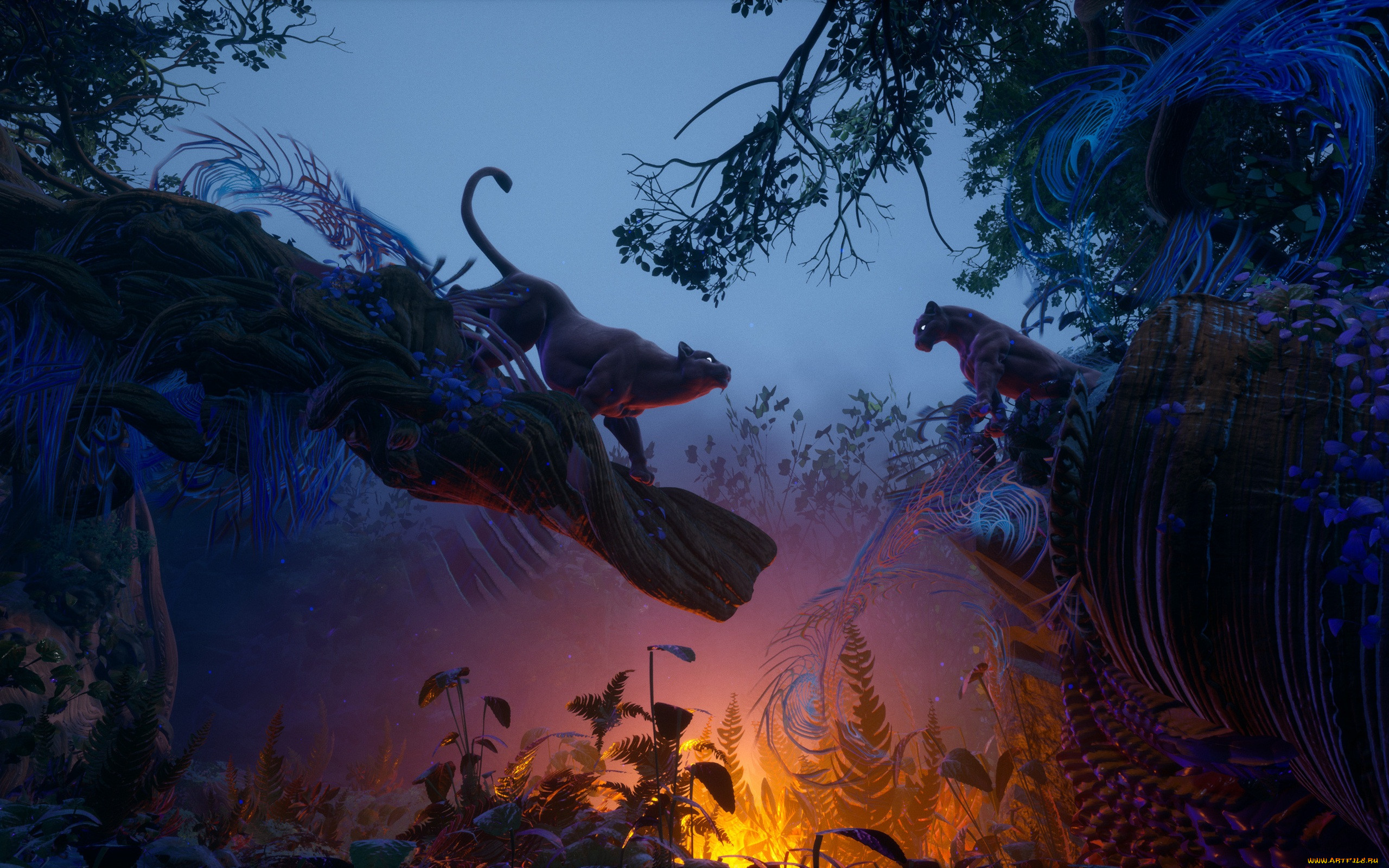 3 ,  , animals, 